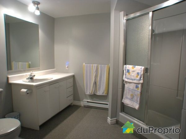 Basement Bathroom