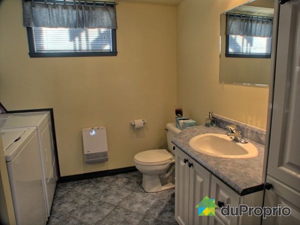 Basement Bathroom