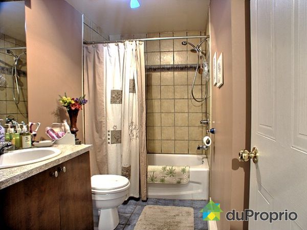 Basement Bathroom