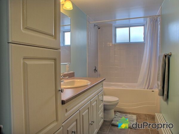Basement Bathroom