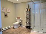 Basement Bathroom