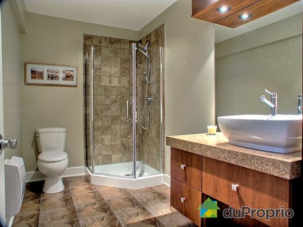 Basement Bathroom