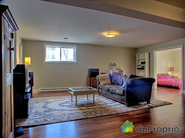 Basement Living Room
