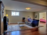 Basement Living Room