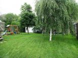 Terrain