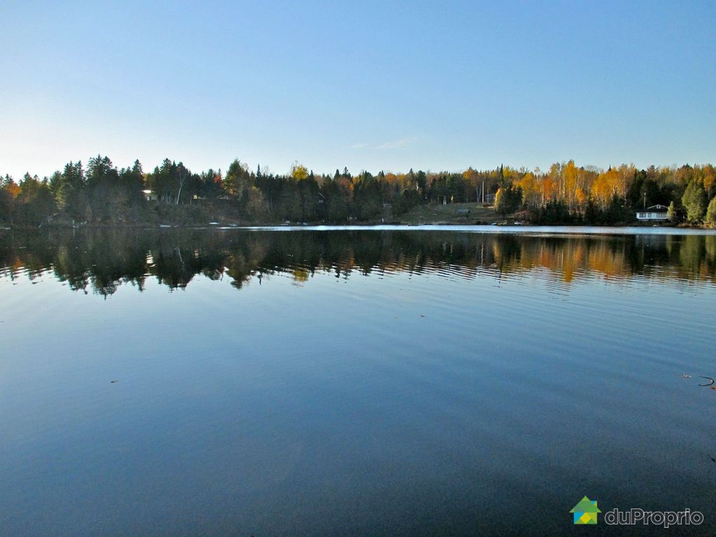 Chalet à vendre Harrington, 34, chemin des Érables, immobilier Québec