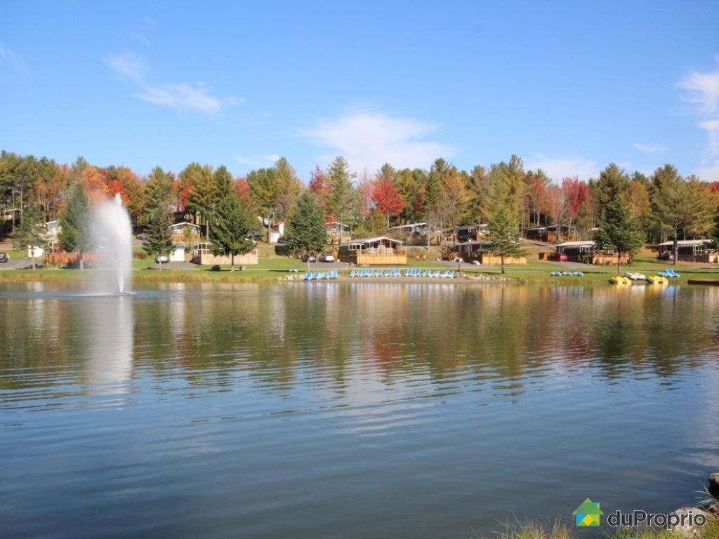 Chalet à vendre StIsidore, 2141 rang de la Rivière, immobilier Québec