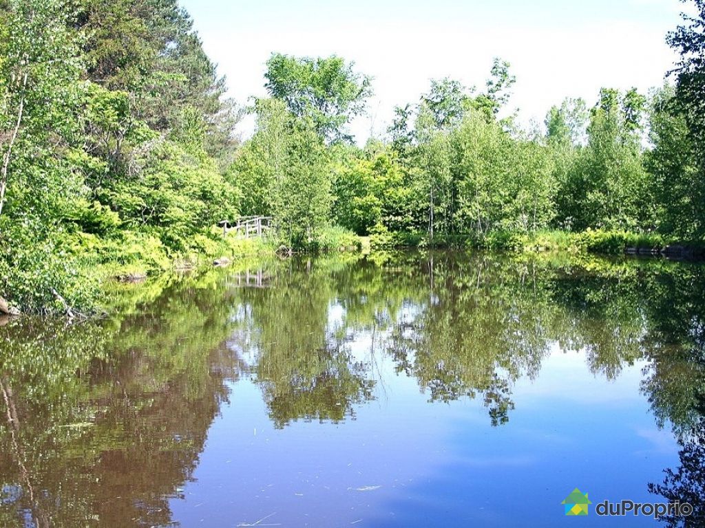 Fermette à vendre SteJulienne, 5241 route 341, immobilier Québec