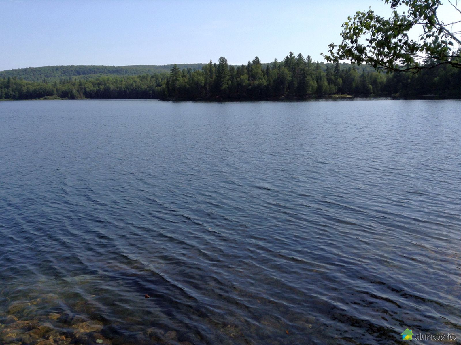 Terrain résidentiel à vendre ChuteStPhilippe, chemin du Progrès