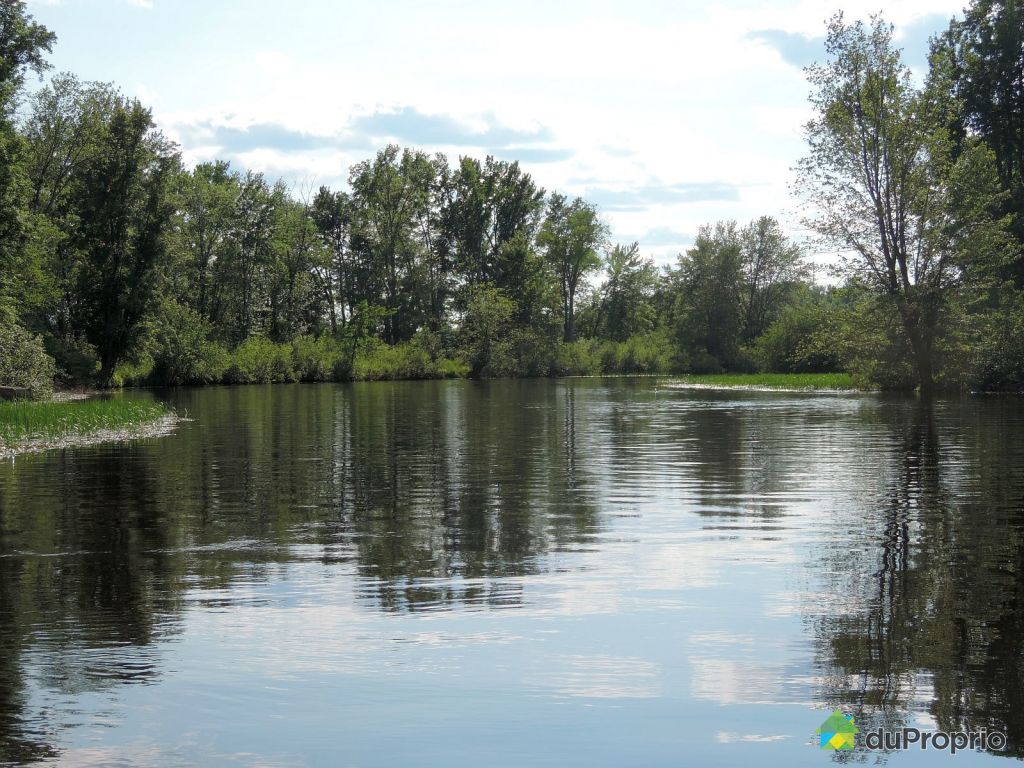 House sold in LacDesEcorces DuProprio 484801