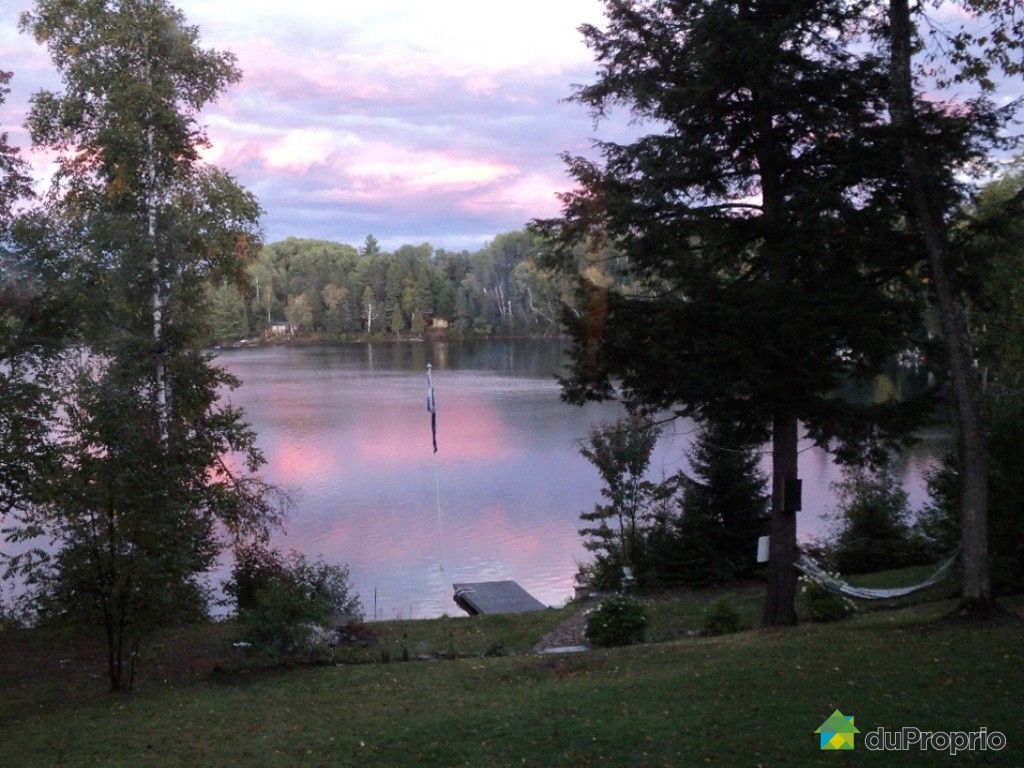 Chalet for sale in Otter Lake, 127 chemin Hughes DuProprio 396582