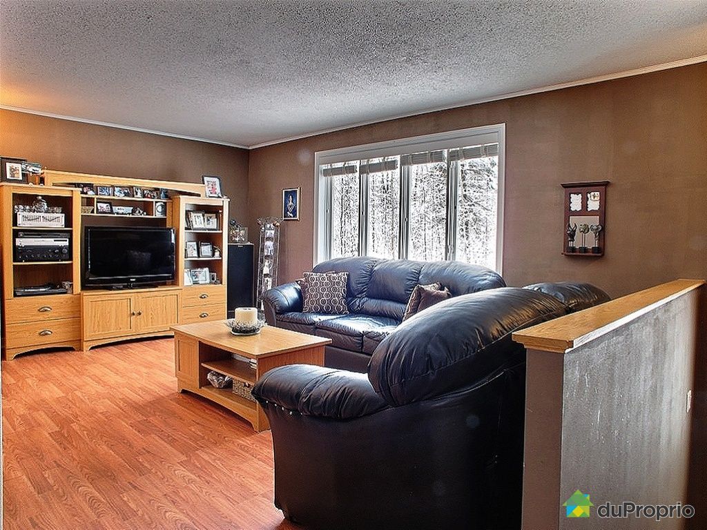 Chalet for sale in Otter Lake, 127 chemin Hughes DuProprio 396582