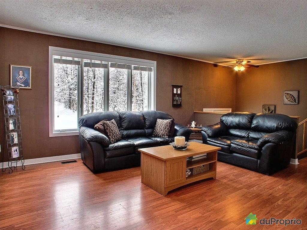 Chalet for sale in Otter Lake, 127 chemin Hughes DuProprio 396582