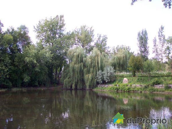 Bord de l'eau