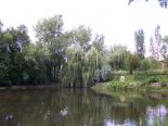 Bord de l'eau