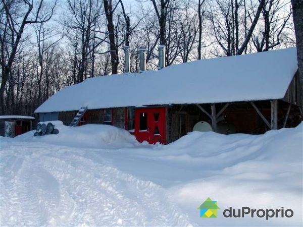 Cabane &agrave; sucre