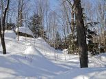 Terrain