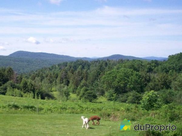 Vue panoramique