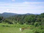 Vue panoramique