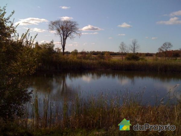 Etang