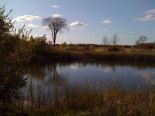 Etang