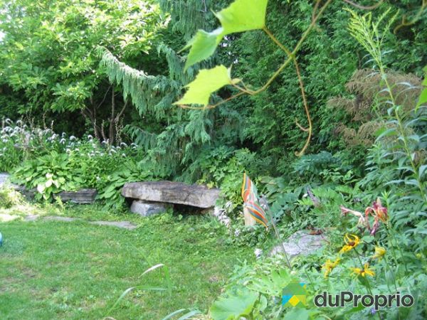 Jardin - Un banc en pierre naturelle sous un majestueux c&egrave;dre pleureur. Id&eacute;al pour la d&eacute;tente ou la lecture en pleine nature.