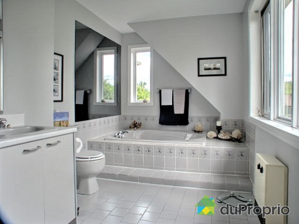 S. bain des ma&icirc;tres - Salle de bain de la chambre des ma&icirc;tre.  Il y a aussi une 2e sdb au 2e &eacute;tage.