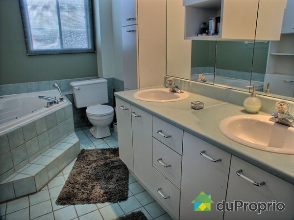 Salle de bain - Evier double
Toilette neuve
Bain a remous double