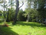 Terrain