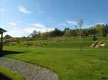 Terrain
