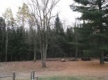 Terrain