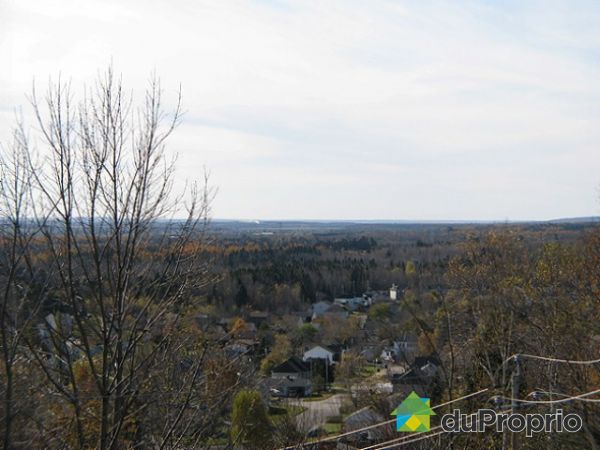 Vue