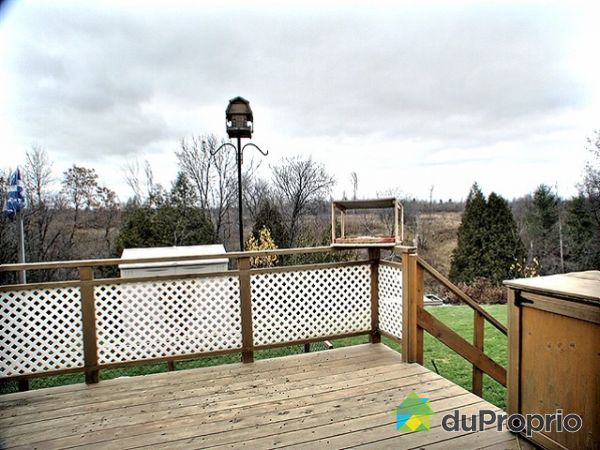 Vue panoramique - Patio en c&egrave;dre pour observer les oiseaux et les chevreuils en prenant son caf&eacute;
