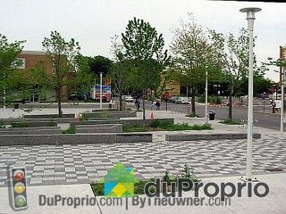 Environment