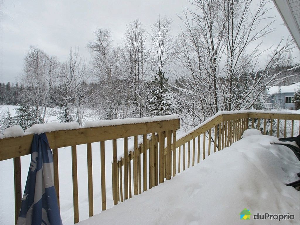 Chalet for sale in Otter Lake, 127, chemin Hughes DuProprio 396582