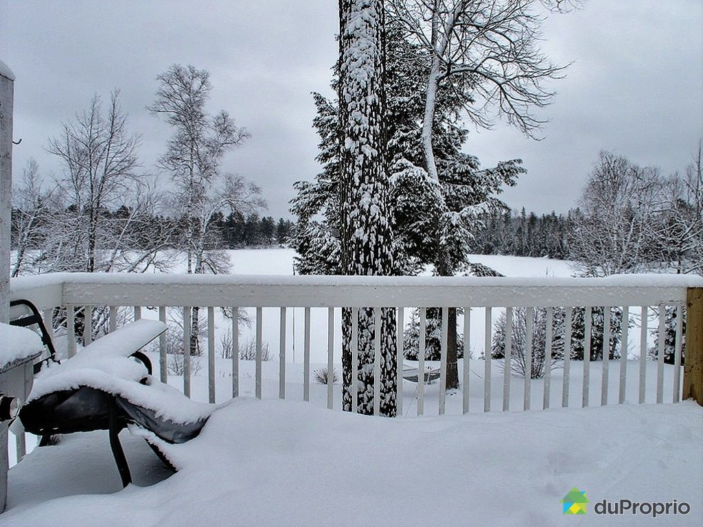 Chalet for sale in Otter Lake, 127, chemin Hughes DuProprio 396582