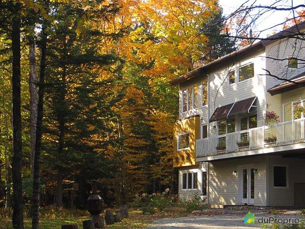 Maison à vendre Eastman, 35, chemin des Bécassines, immobilier Québec