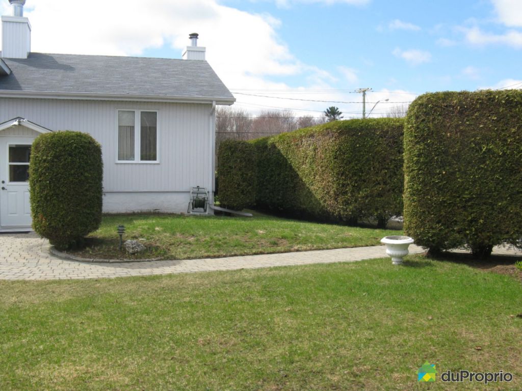 Maison à vendre SteGenevieveDeBatiscan, 152, chemin de la Rivière à