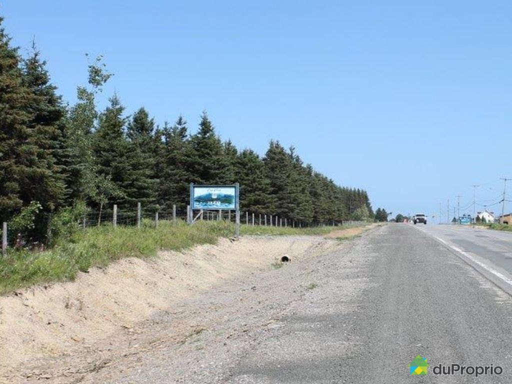 Terrain récréatif à vendre CapChat, route du Fort, immobilier Québec