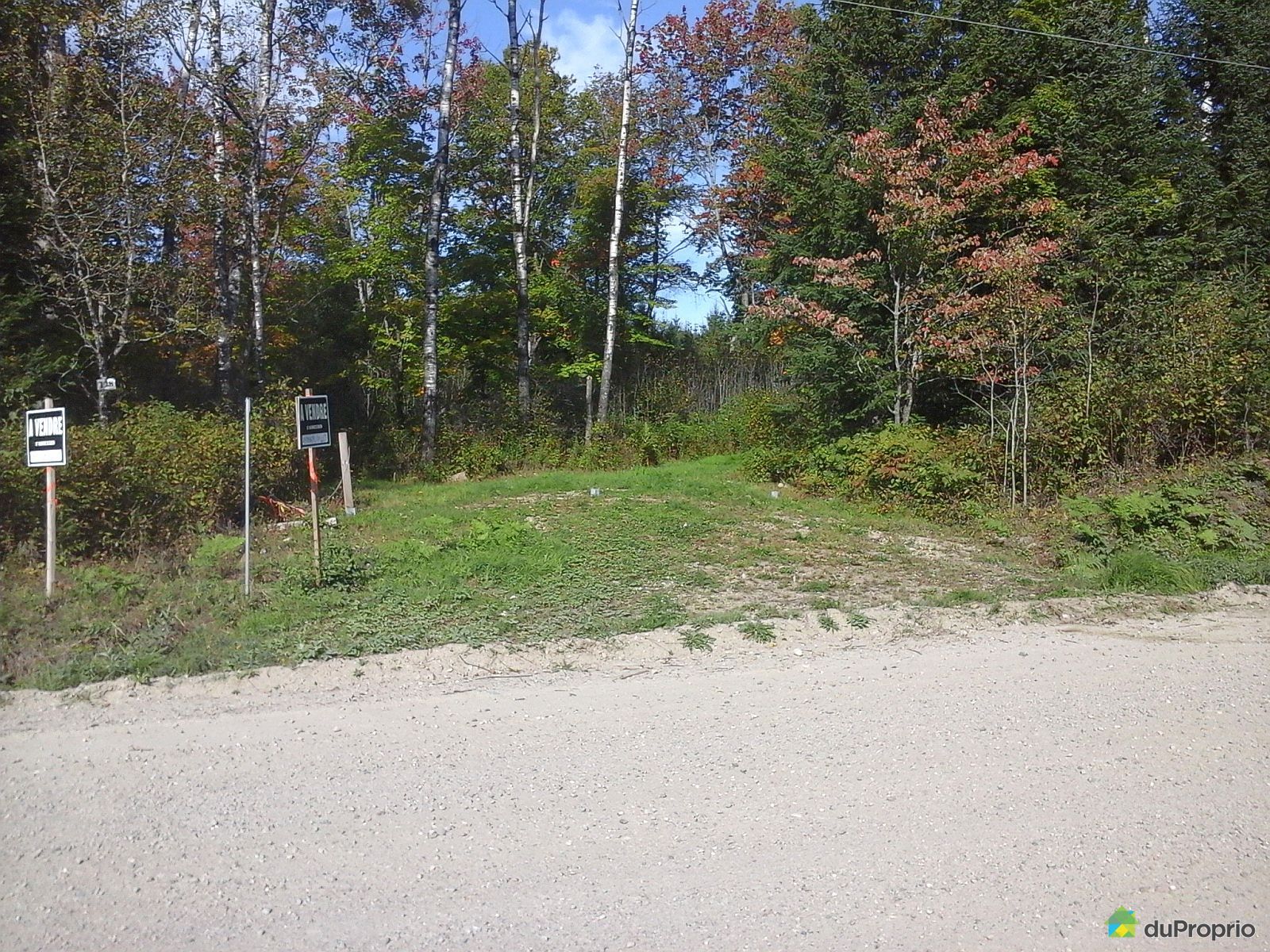 Terre à bois à vendre LacSaguay, 128 chemin de la Vielle Route 11
