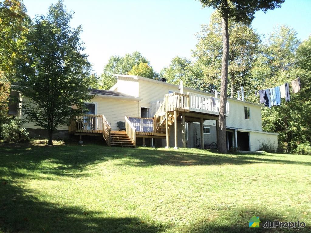 Chalet for sale in Otter Lake, 127, chemin Hughes DuProprio 396582