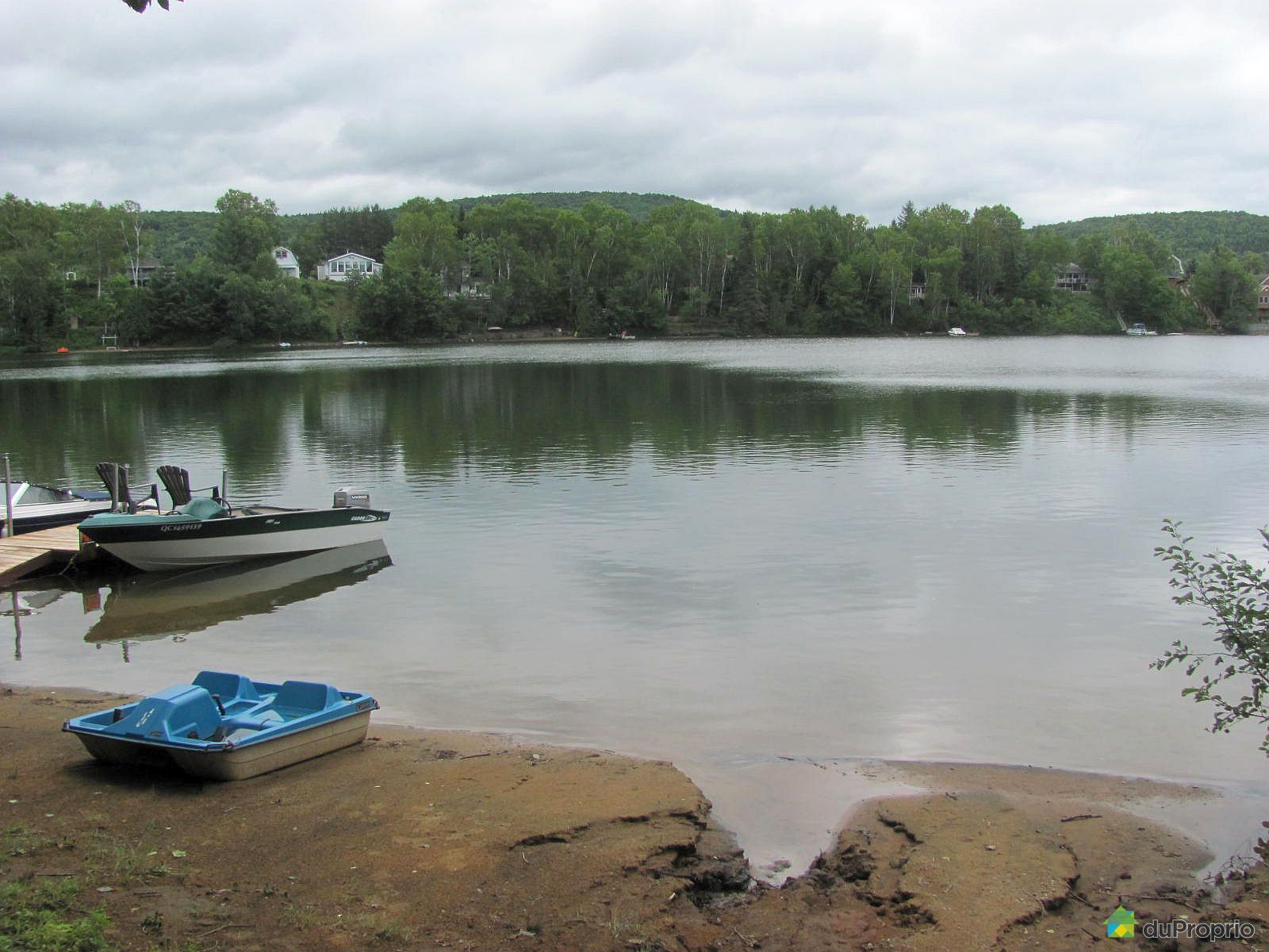 Terrain résidentiel à vendre RivièreàPierre, 5 avenue Delisle