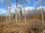 Residential Lot in Levis, Quebec South Shore