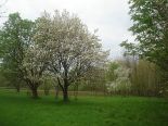 Residential Lot in Levis, Quebec South Shore