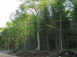 Residential Lot in St-Raymond, Portneuf