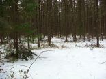 Residential Lot in St-Honore-De-Chicoutimi, Saguenay-Lac-Saint-Jean