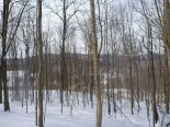 Residential Lot in Lac-Superieur, Laurentides 