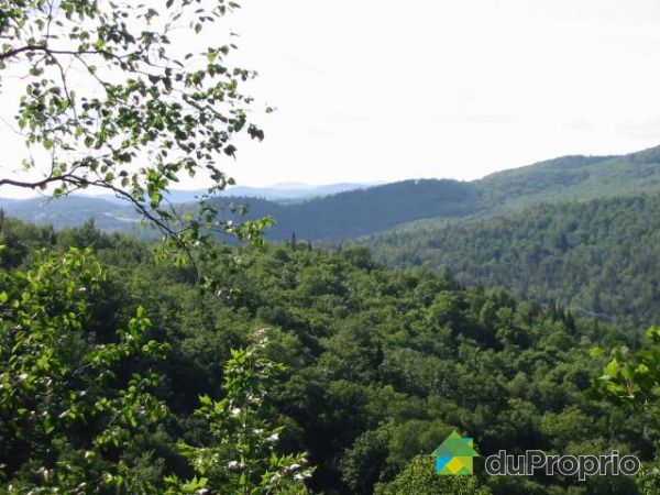 Panoramic View