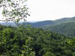 Panoramic View