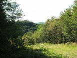 Summer Front